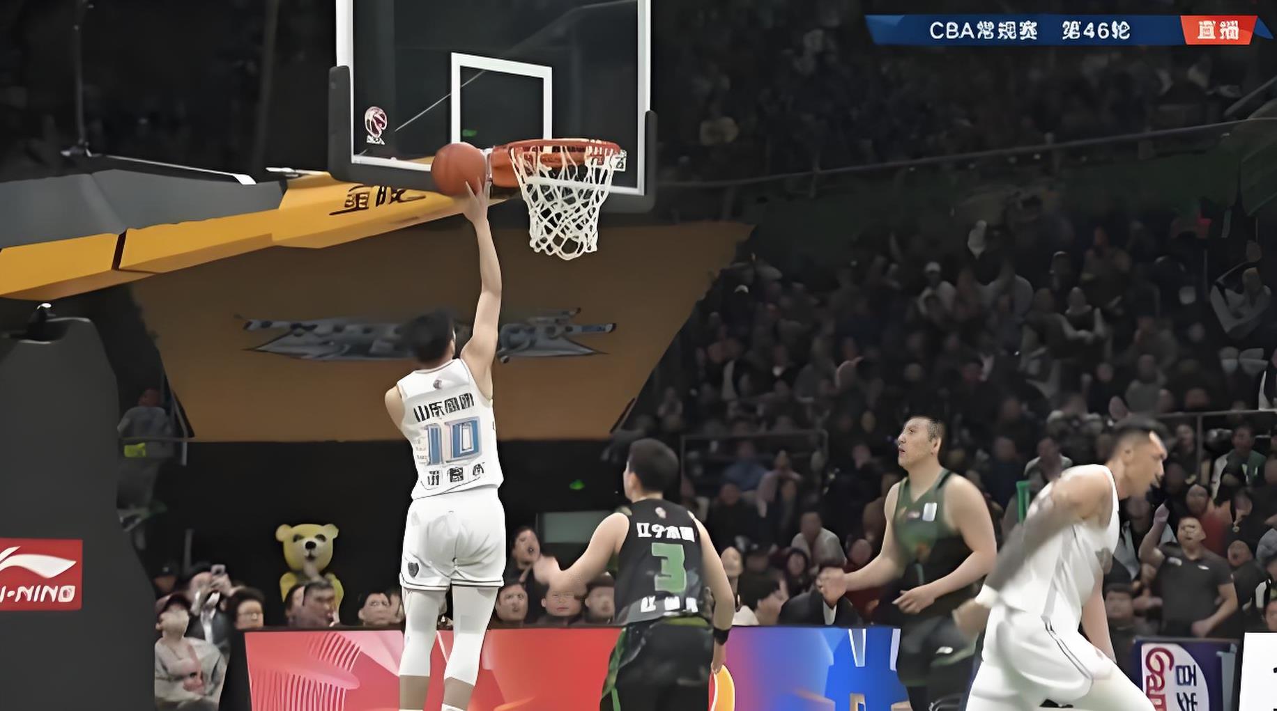  山东高速男篮最新消息今天 